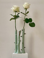 rosenvasen1 s